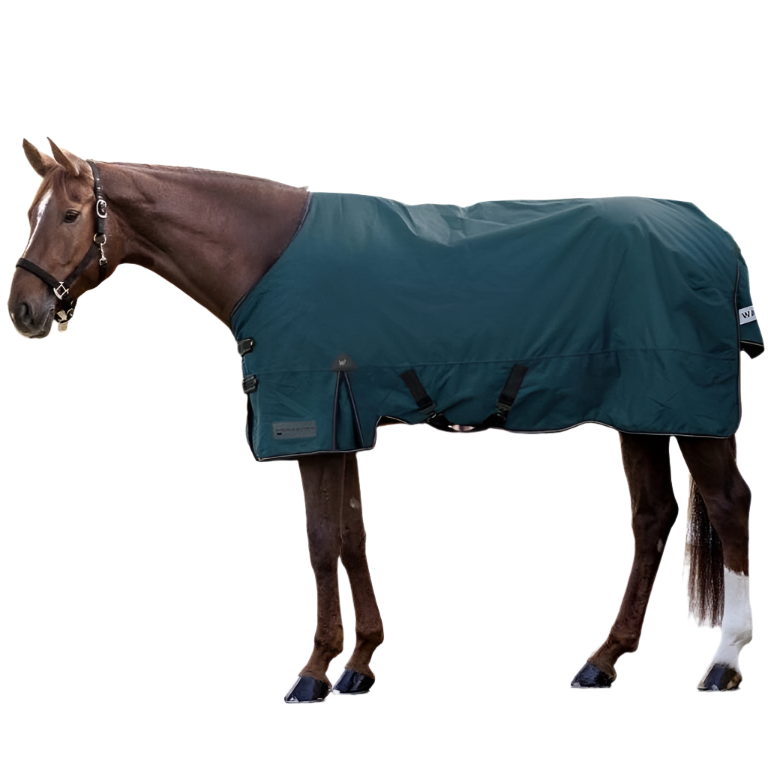Waldhausen Arctic 200g Turnout Rug #colour_petrol-blue