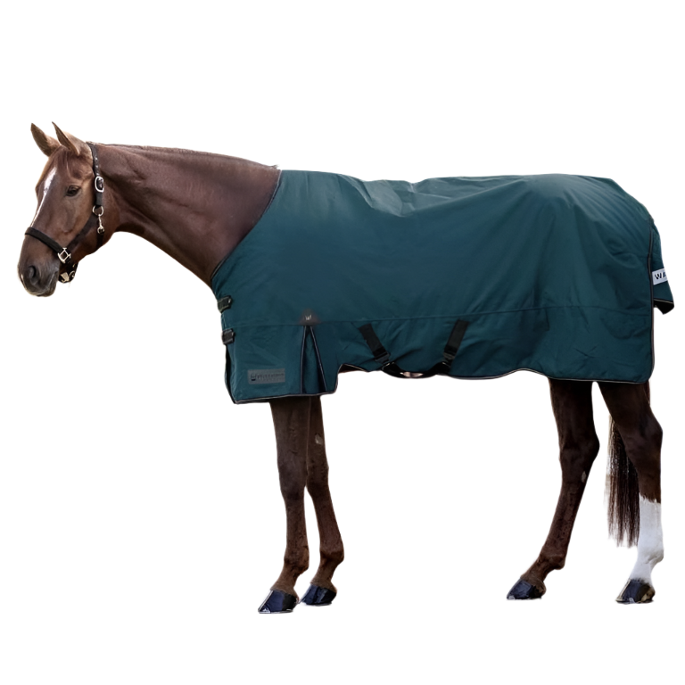 Waldhausen Arctic 50g Turnout Rug #colour_petrol-blue
