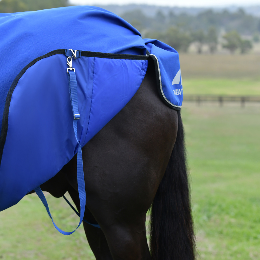 Weatherbeeta Comfitec Essential 220G Turnout #colour_cobalt-black