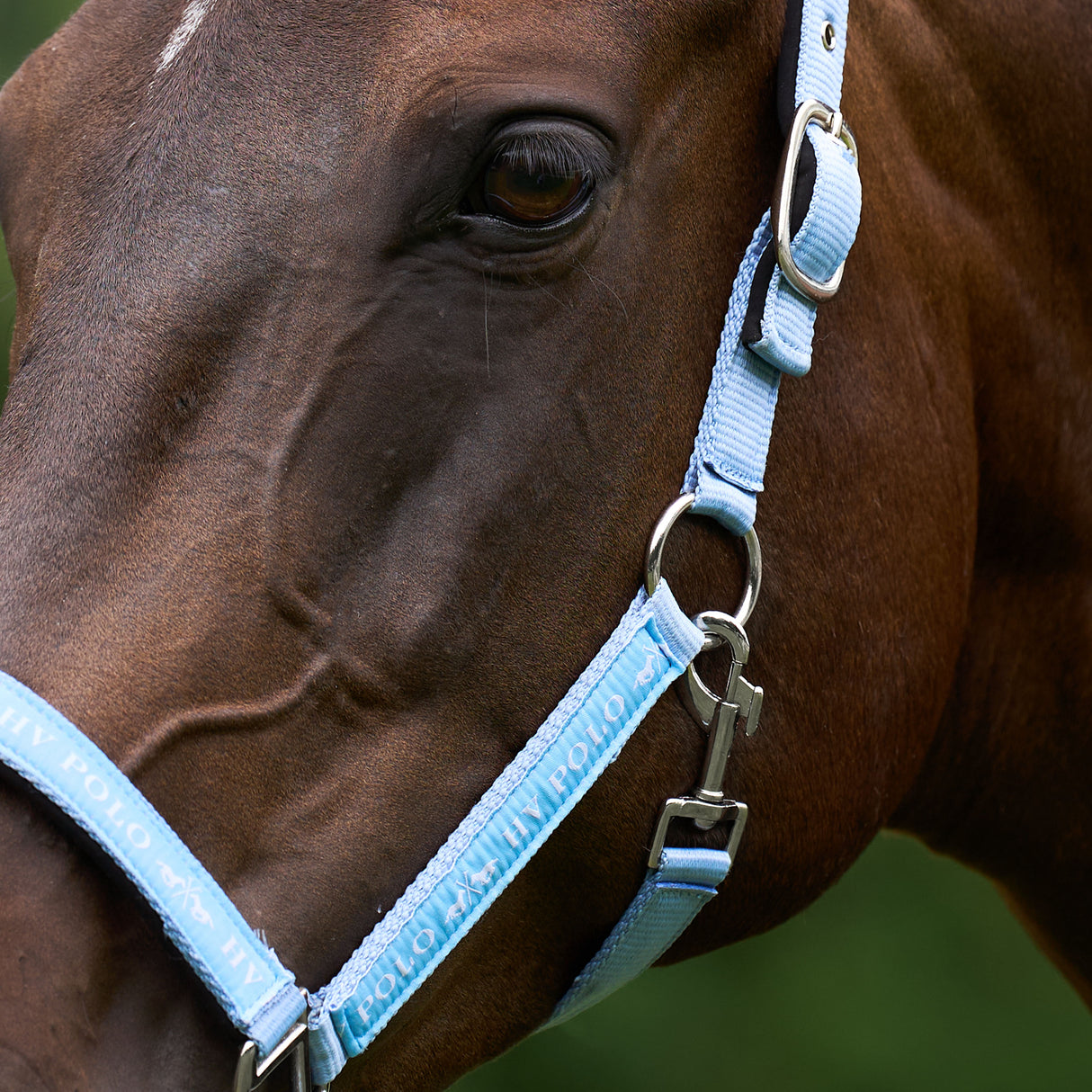 HV Polo Nena Headcollar #colour_sea