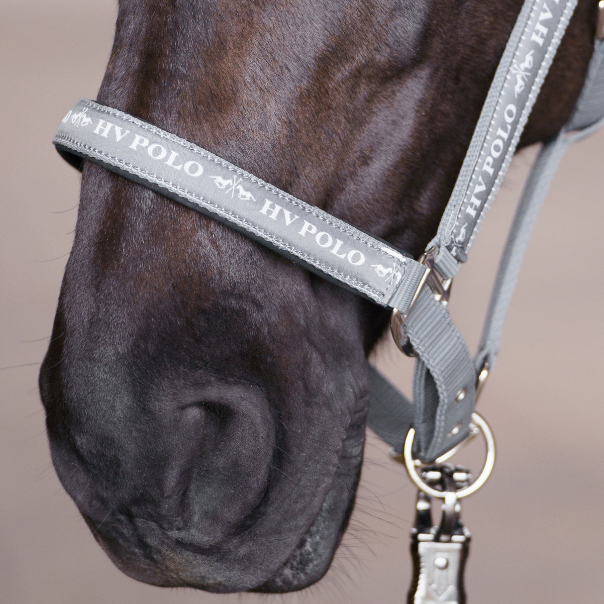 HV Polo Nena Headcollar #colour_stone