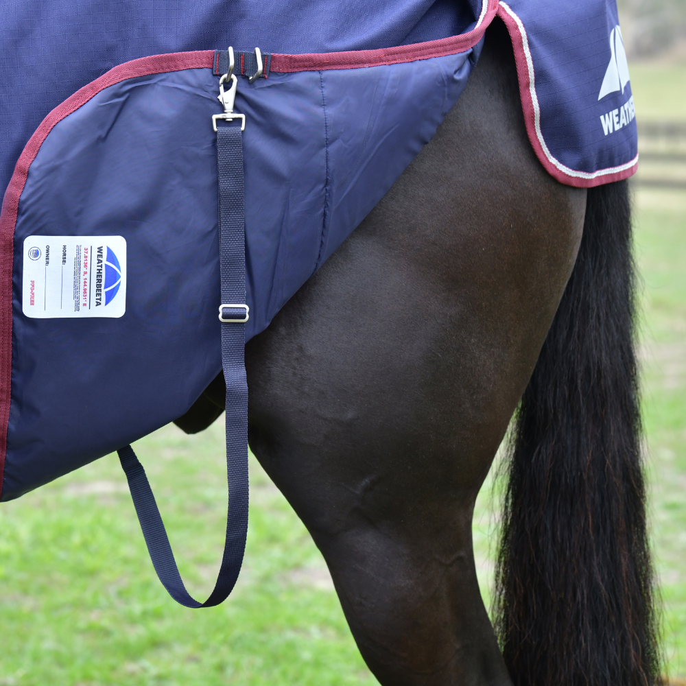 Weatherbeeta Comfitec Essential 220G Combo Turnout #colour_navy-burgundy