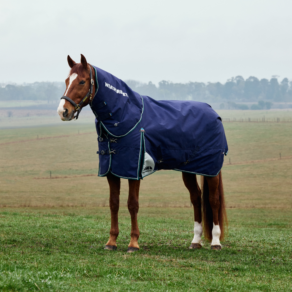 Weatherbeeta Comfitec Plus Dynamic 100G Detach-A-Neck Turnout #colour_navy-forest-green