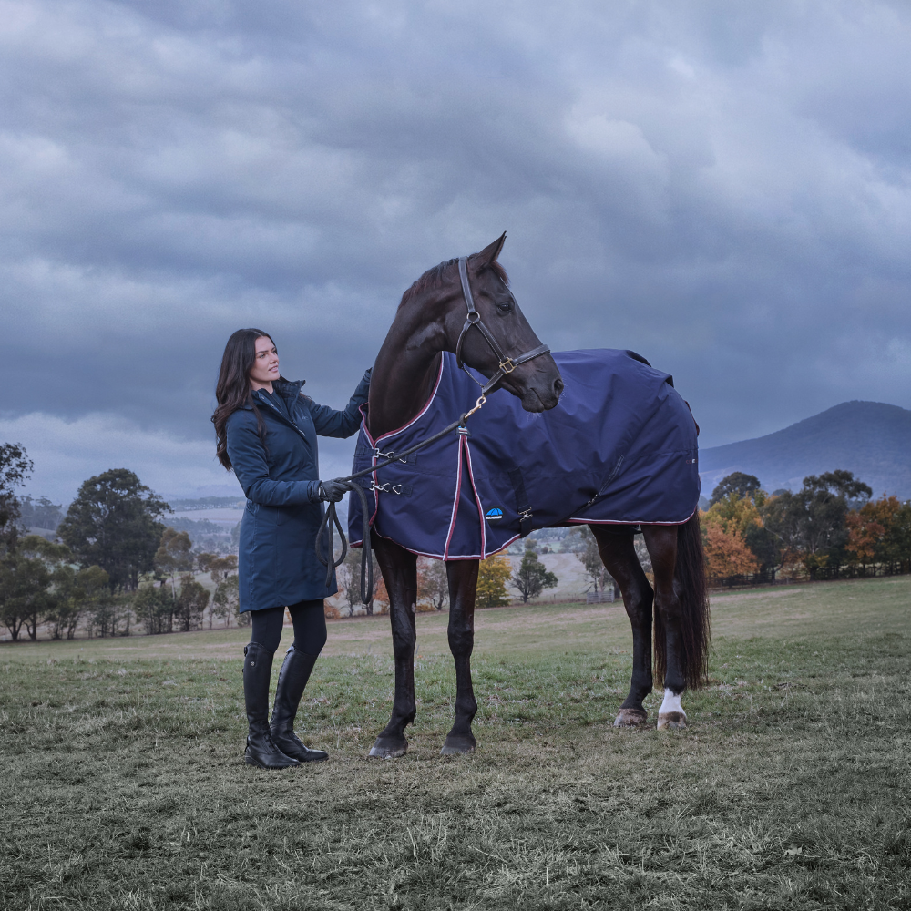 Weatherbeeta Comfitec Essential 220G Turnout #colour_burgundy-navy