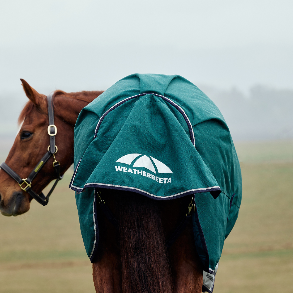 Weatherbeeta Comfitec Plus Dynamic 100G High Neck Turnout #colour_forest-green-navy