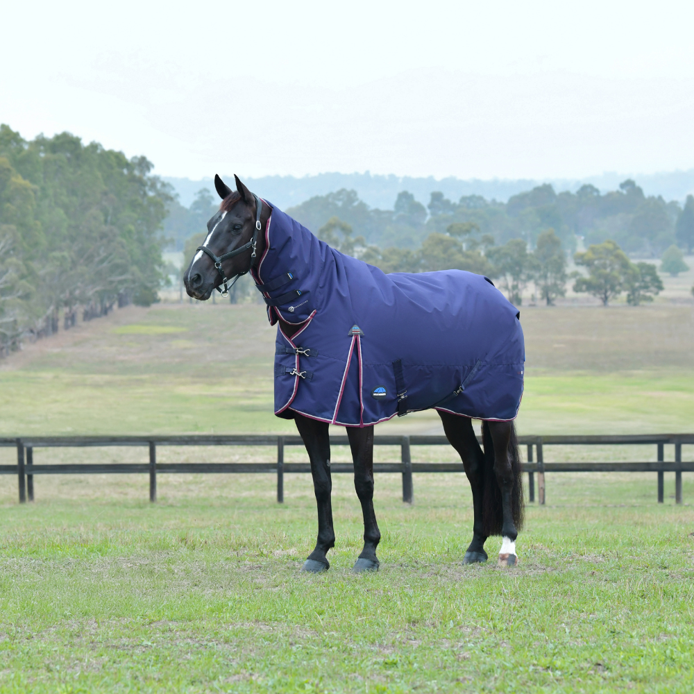 Weatherbeeta Comfitec Essential 220G Combo Turnout #colour_navy-burgundy