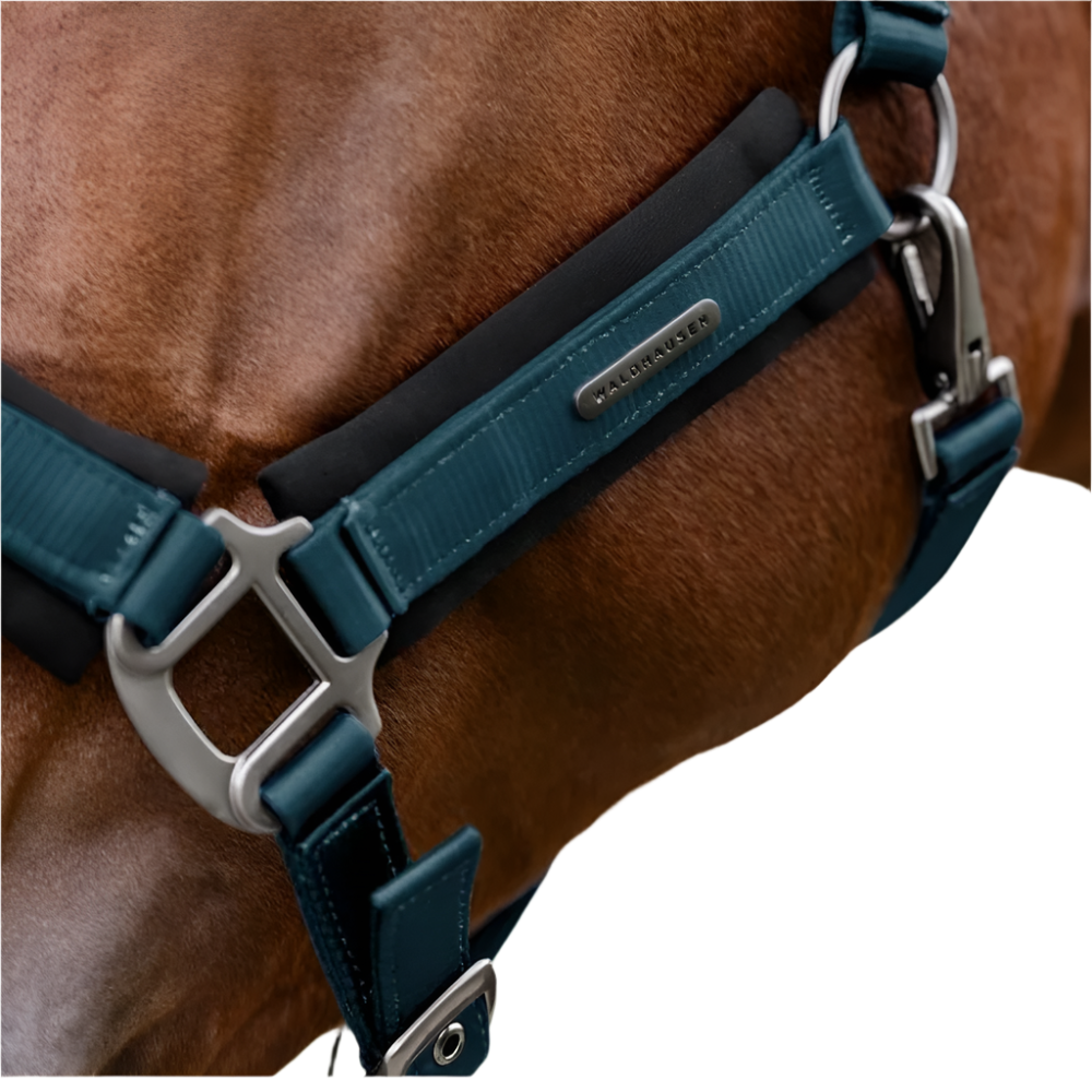 Waldhausen Soft Touch Halter #colour_petrol-blue