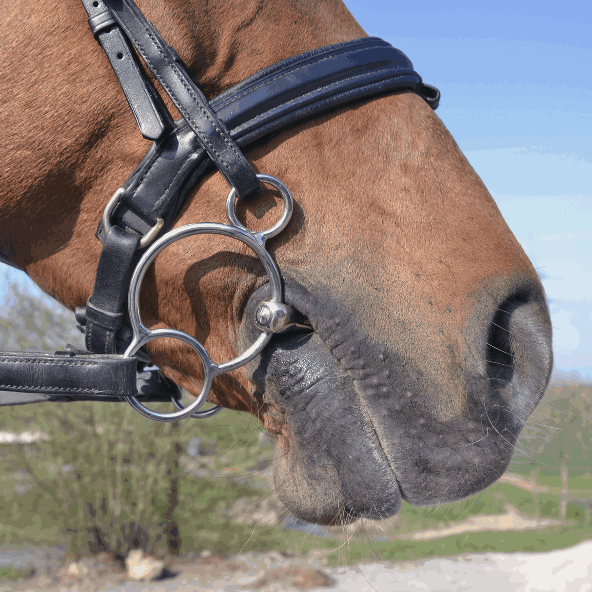 Sprenger KK Ultra Vienna Bit 14mm Sensogan