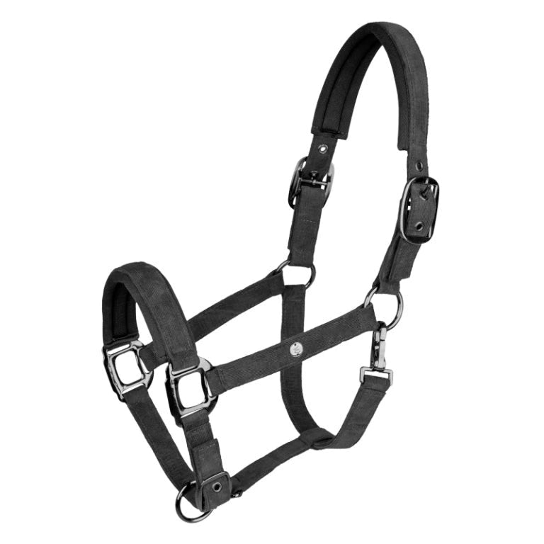 Waldhausen St. Gallen Halter #colour_black