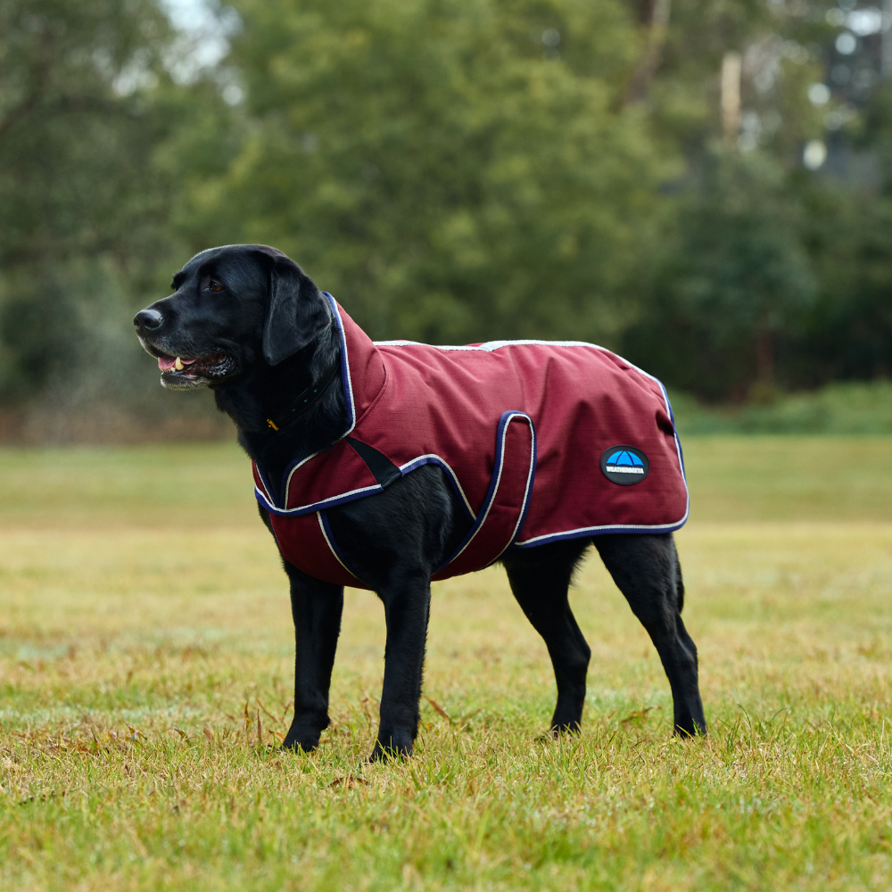Weatherbeeta Comfitec Premier Deluxe Waterproof Dog Coat #colour_burgundy-navy