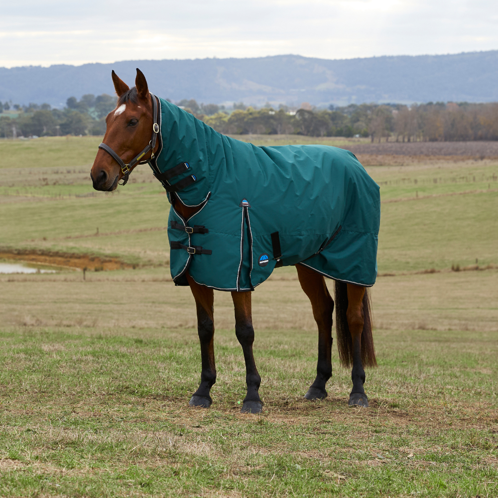 Weatherbeeta Comfitec Classic 220G Combo Turnout #colour_forest-green-black