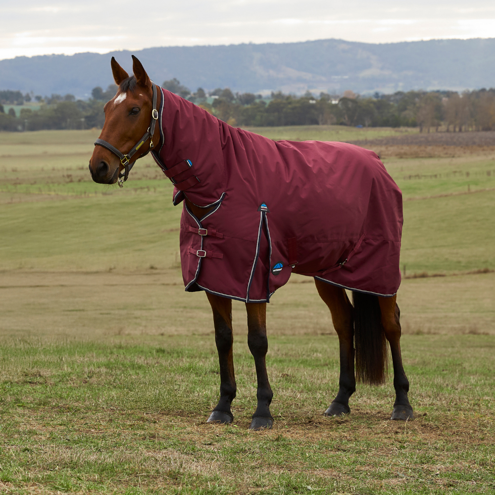 Weatherbeeta Comfitec Prelim 220G Combo Turnout #colour_burgundy-navy