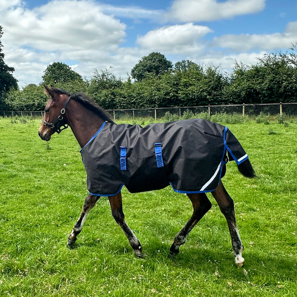 Horseware Ireland Amigo Ripstop 900D 200g Foal Turnout Rug #colour_black-classic-blue