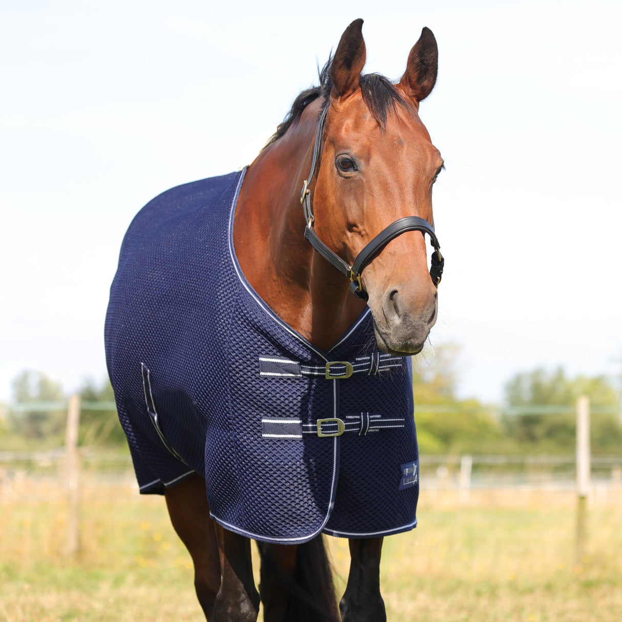 StormX Empra AirFlex 3D Rug #colour_navy