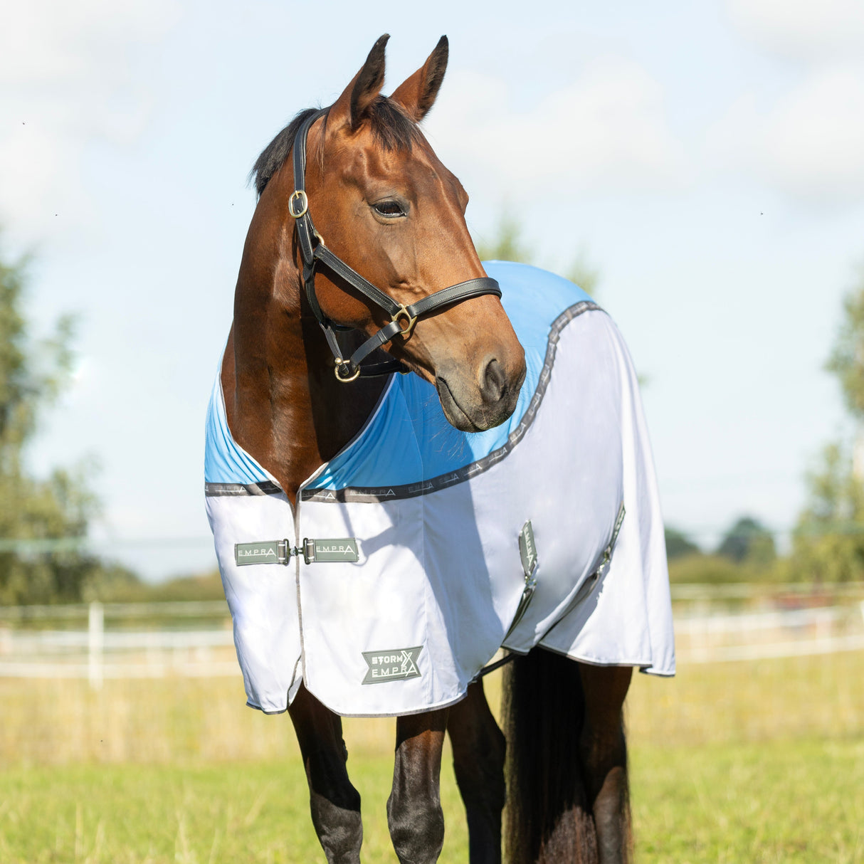 StormX Empra MeshX Flow Cooler Rug