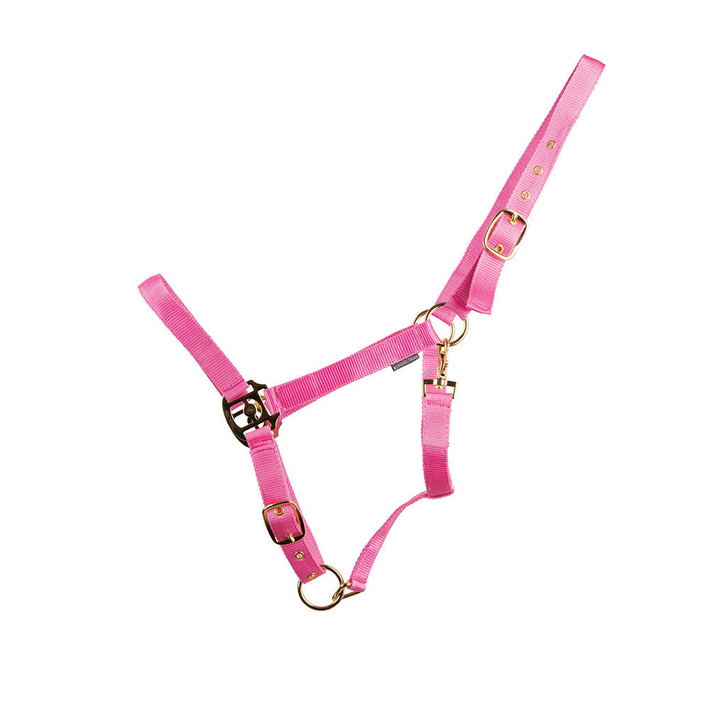 HyCONIC Head Collar #colour_pink