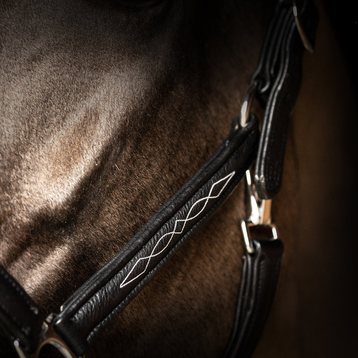 ProPresicce Softy Leather Head Collar by Hy Equestrian #colour_black-silver