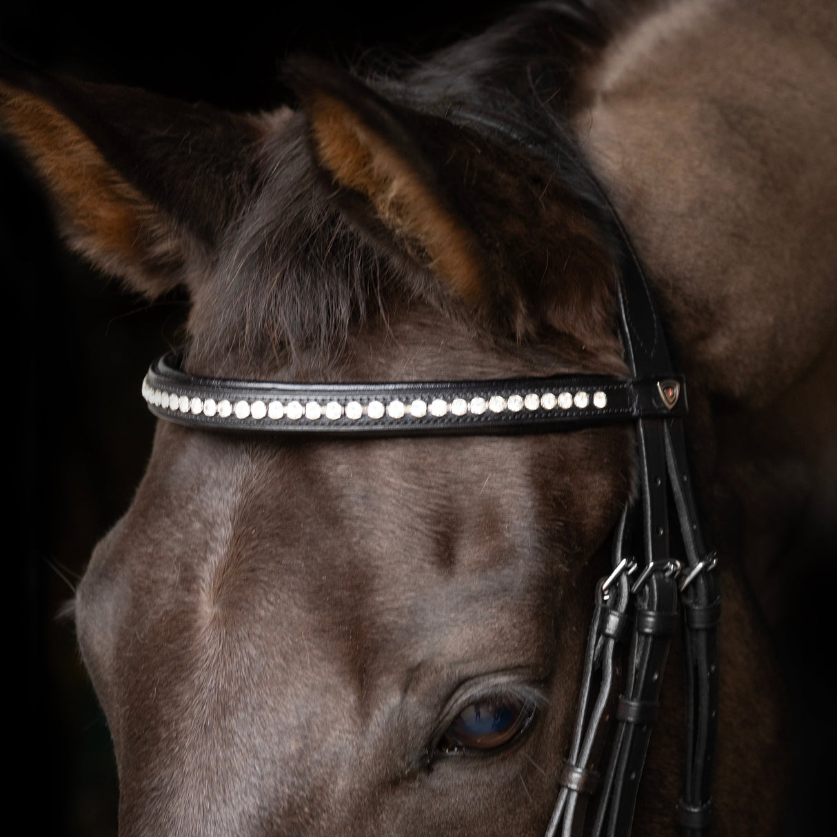 ProPresicce Signature Classic Diamante Browband by Hy Equestrian #colour_black-with-silver-diamantes