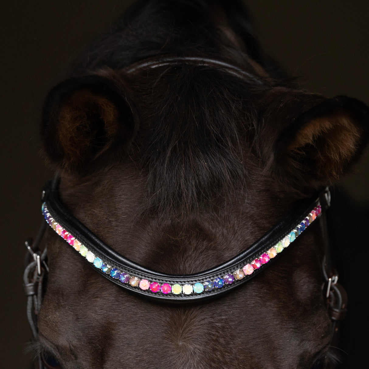 ProPresicce Signature Curved Diamante Browband by Hy Equestrian #colour_black-with-rainbow-diamantes