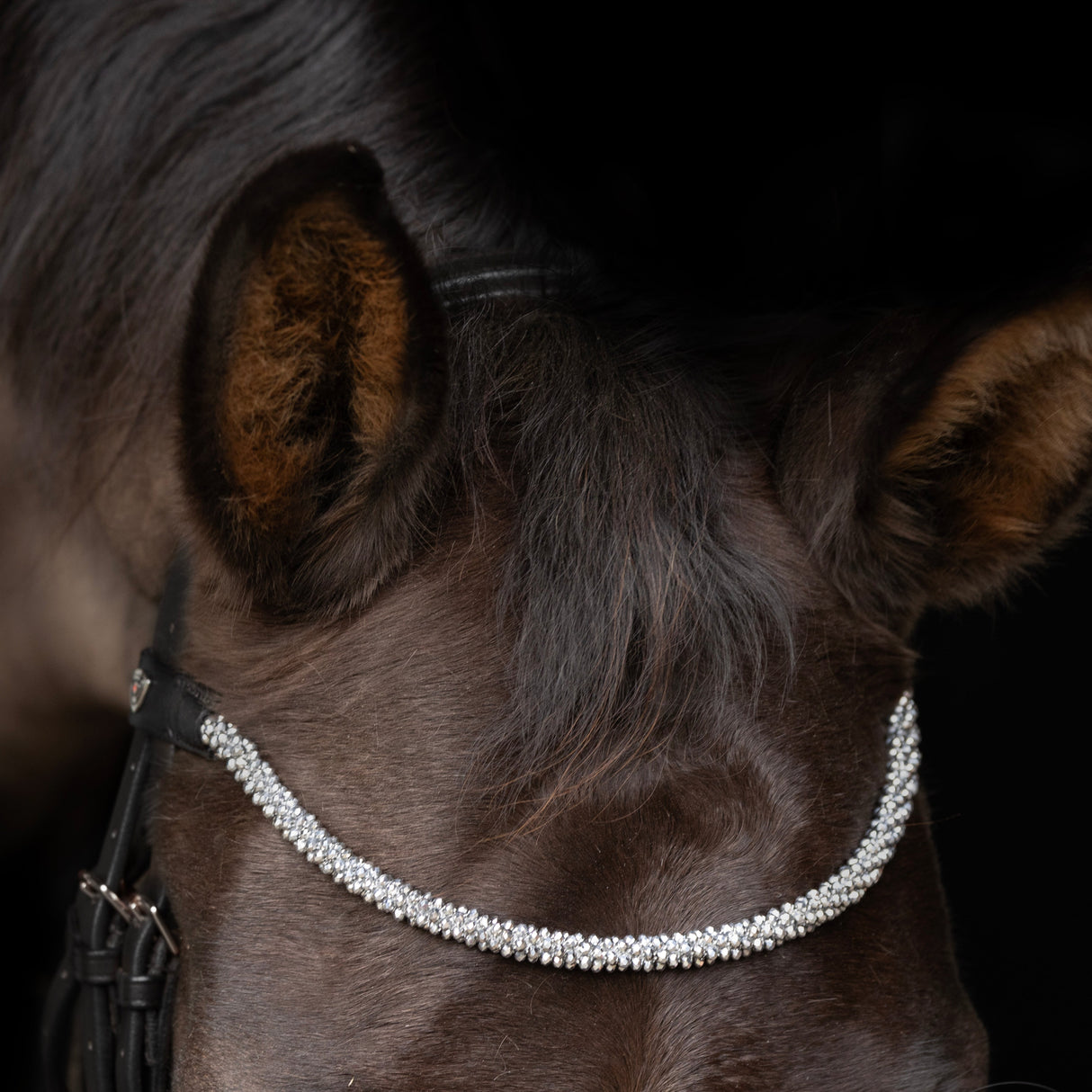 ProPresicce Signature Crystal Diamante Browband by Hy Equestrian #colour_silver