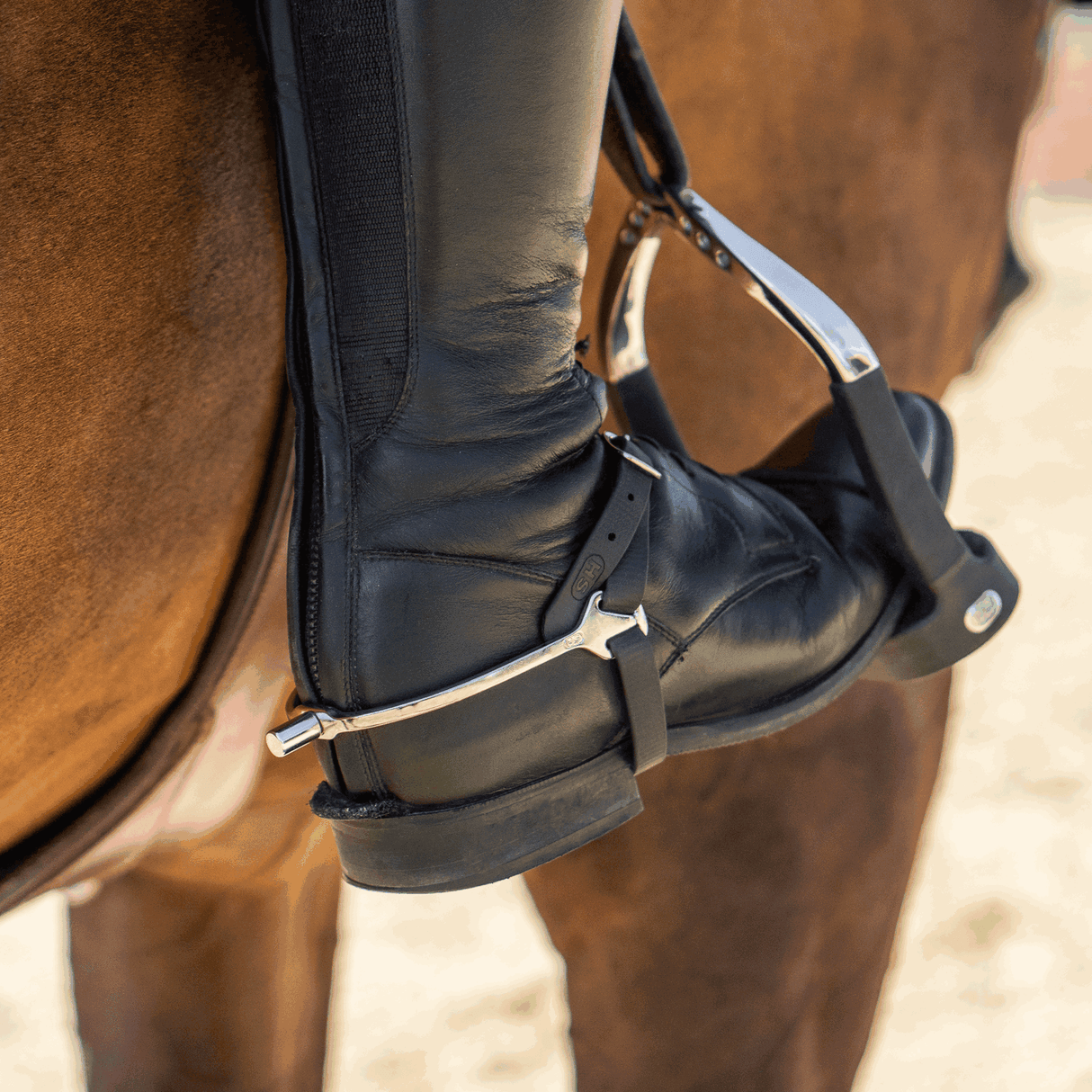 Sprenger Slimline Stainless Steel Flat Neck Boot Protect Spurs #style_flat-neck