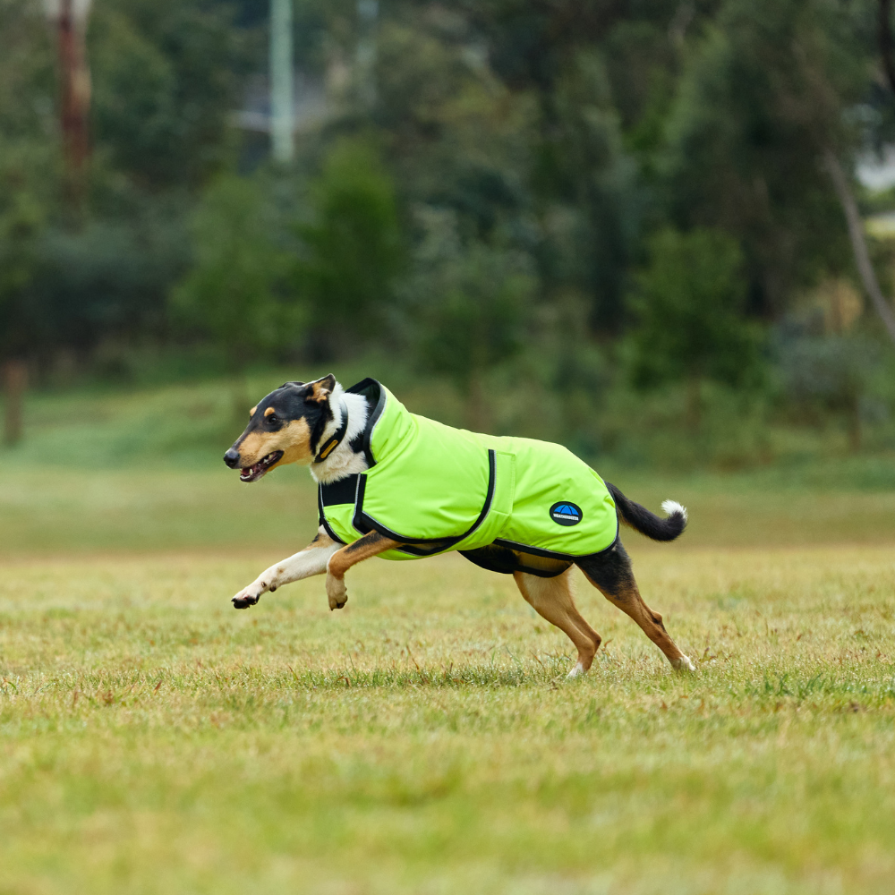 Weatherbeeta Comfitec Reflective 300D Deluxe Showerproof Dog Coat #colour_yellow