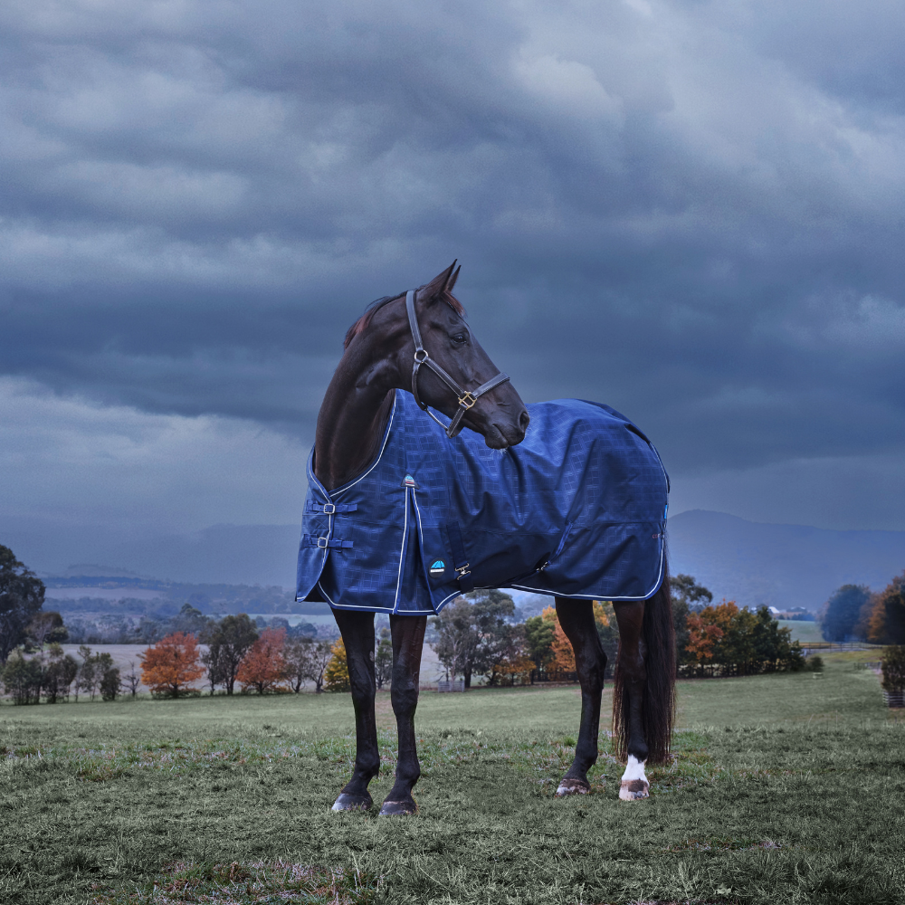 Weatherbeeta Comfitec Prelim 220G Turnout #colour_navy-embossed-plaid