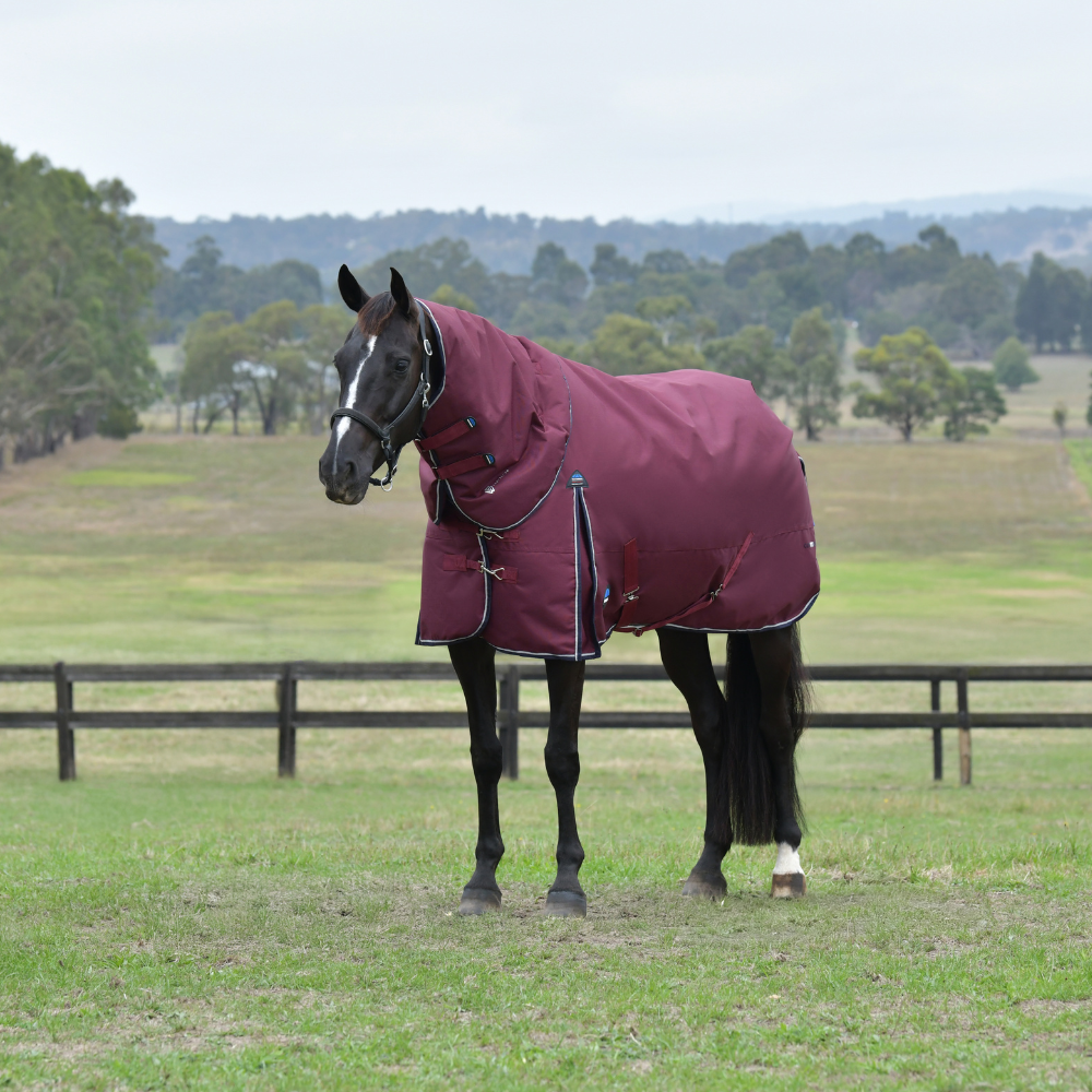 Weatherbeeta Comfitec Essential 220G Detach-A-Neck Turnout #colour_burgundy-navy