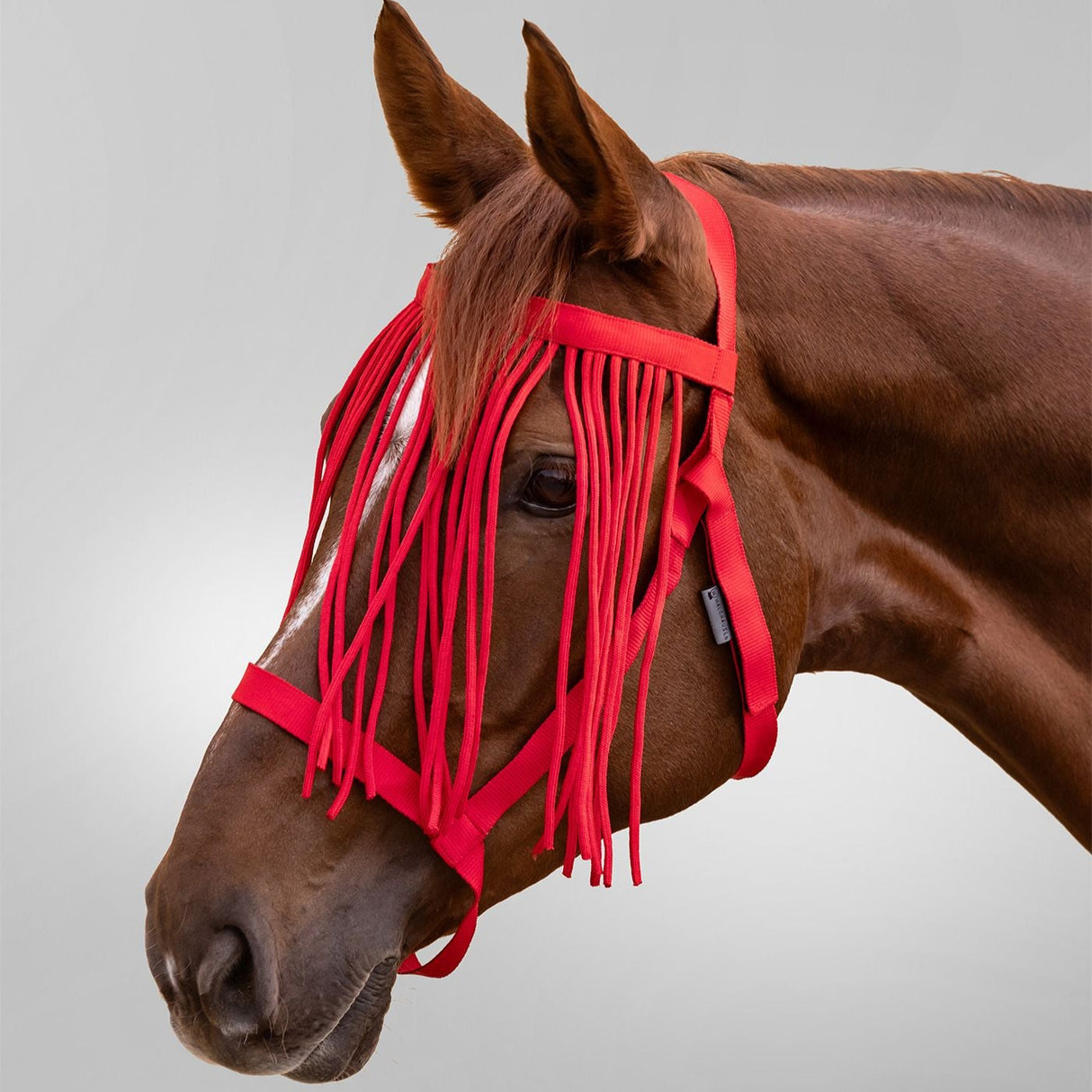 Waldhausen Grazing Halter With Fly Fringe #colour_red