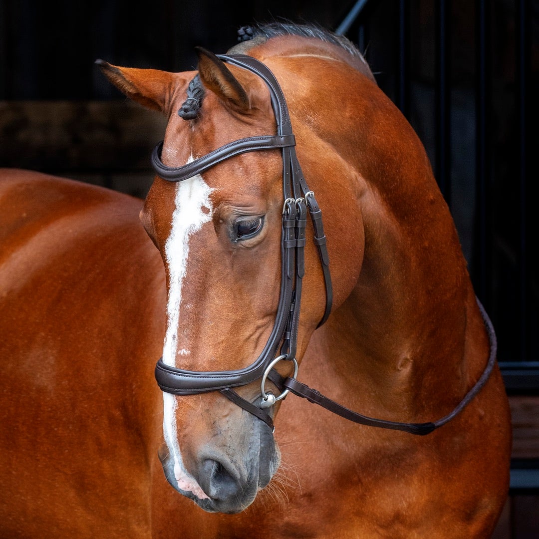 Shires Velociti RAPIDA Ergonomic Curved Flash Bridle #colour_black