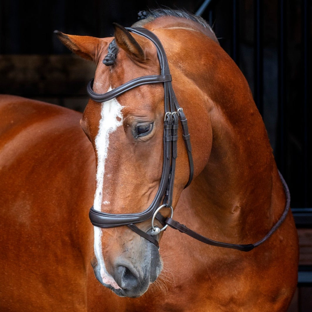 Shires Velociti RAPIDA Ergonomic Curved Flash Bridle #colour_havana