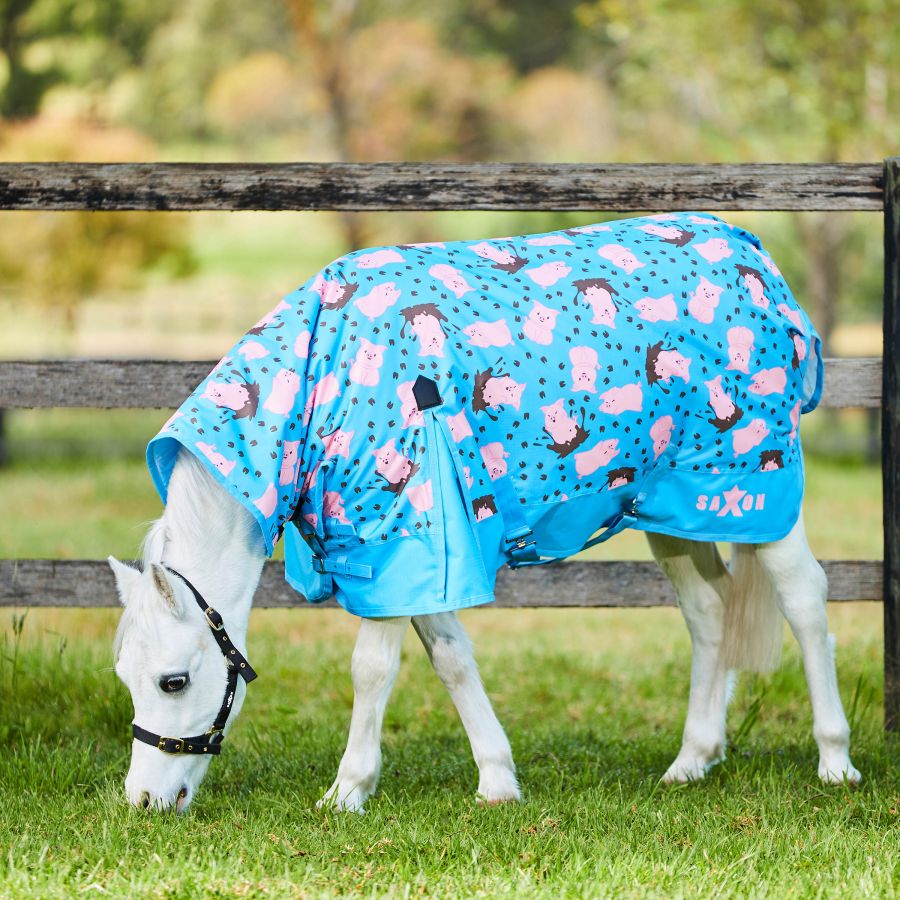 Saxon 600D Combo Neck Medium Weight Pony Turnout Rug #colour_pig-print