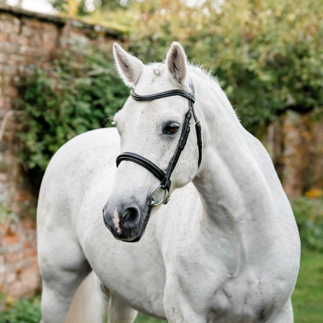 Horseware Ireland Pony Cavesson Bridle #colour_black