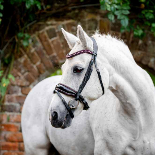 Horseware Ireland Pony Diamante Flash Bridle #colour_black-pink