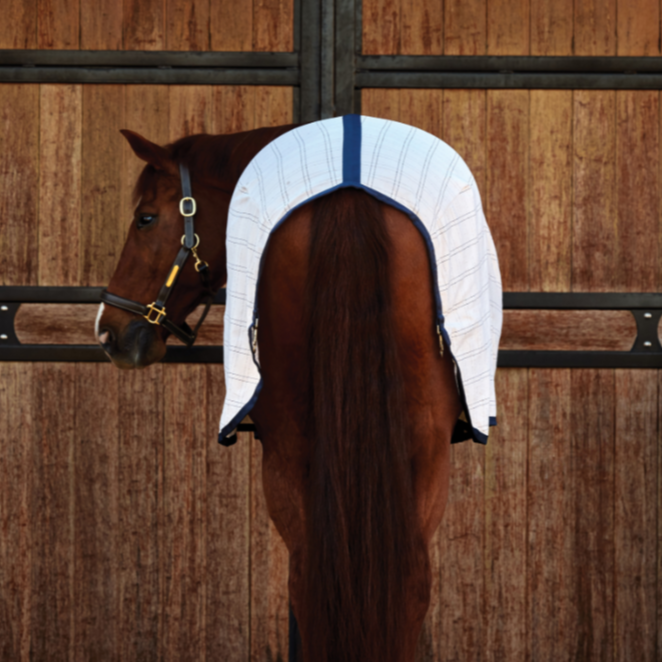 Weatherbeeta Comfitec Cotton Sheet Liner #colour_white-navy