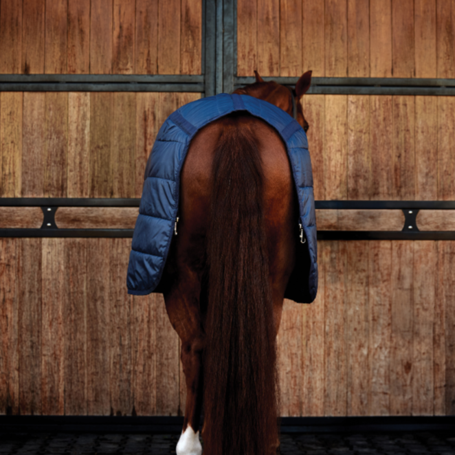 Weatherbeeta Comfitec 200G Liner #colour_navy