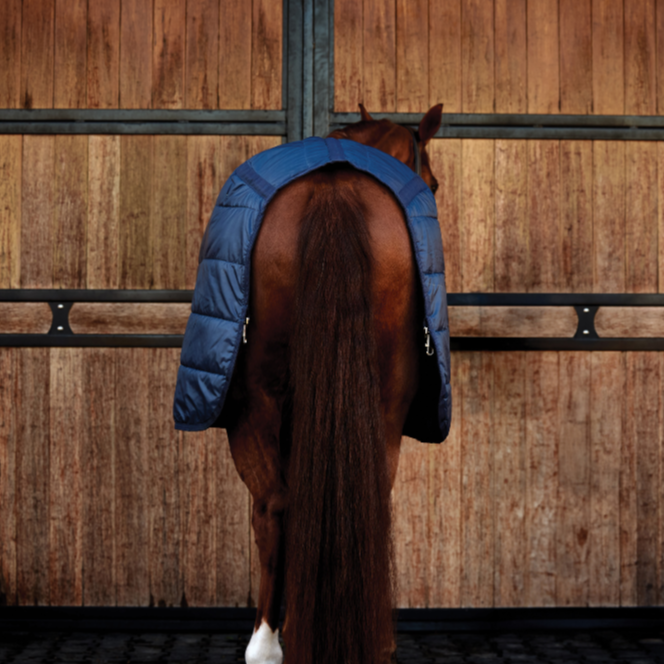 Weatherbeeta Comfitec 100G Liner #colour_navy