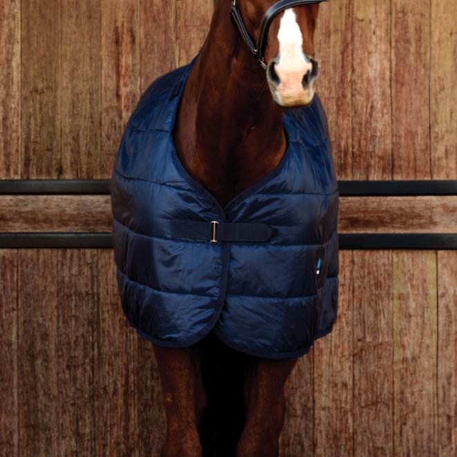 Weatherbeeta Comfitec 100G Liner #colour_navy