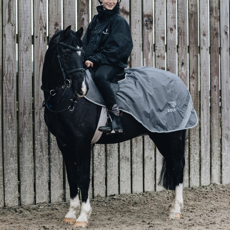 EQUIDRY Exercise Sheet Thick #colour_grey-grey