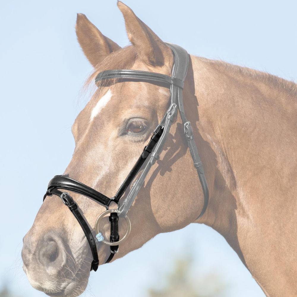 Acavallo Flash Noseband Quick Coupling #colour_black