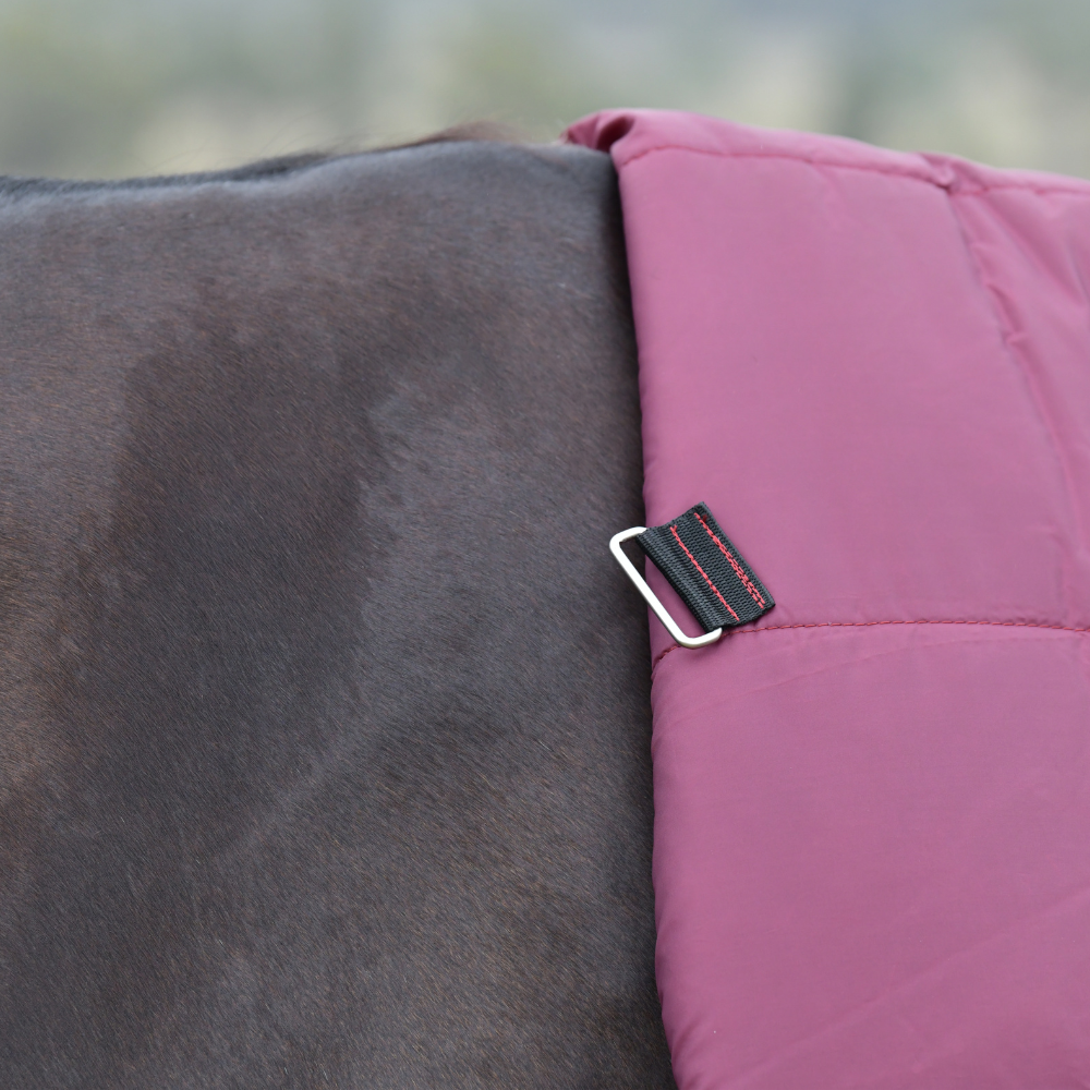 Weatherbeeta Comfitec Essential 220G Combo Turnout #colour_burgundy-navy