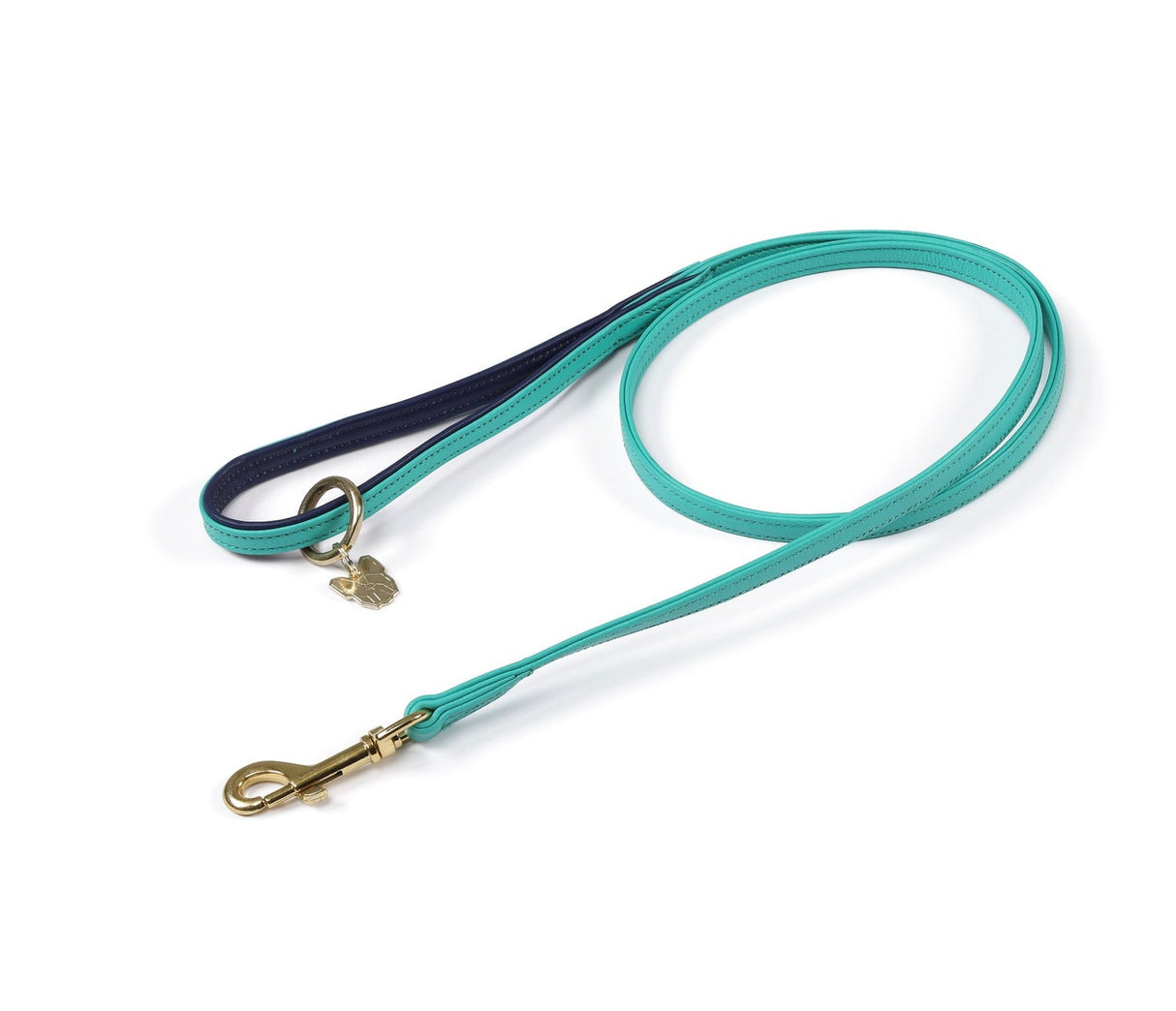 Shires Digby & Fox Padded Leather Dog Lead #colour_aqua