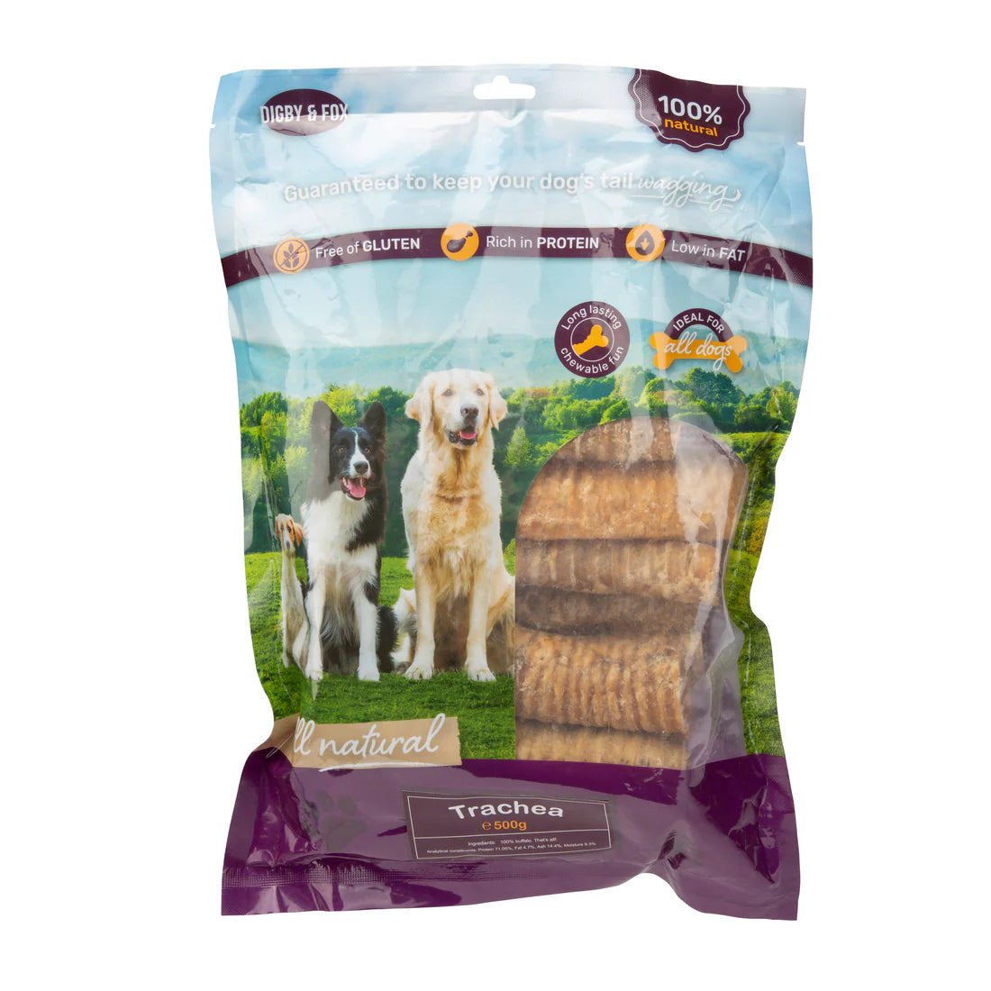 Shires Digby & Fox Trachea