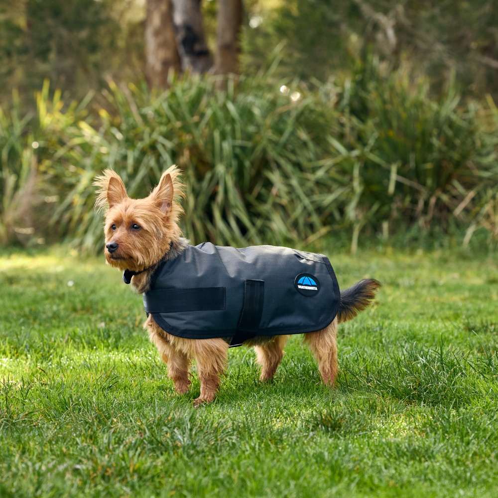 Weatherbeeta Comfitec Classic Waterproof Dog Coat #colour_grey