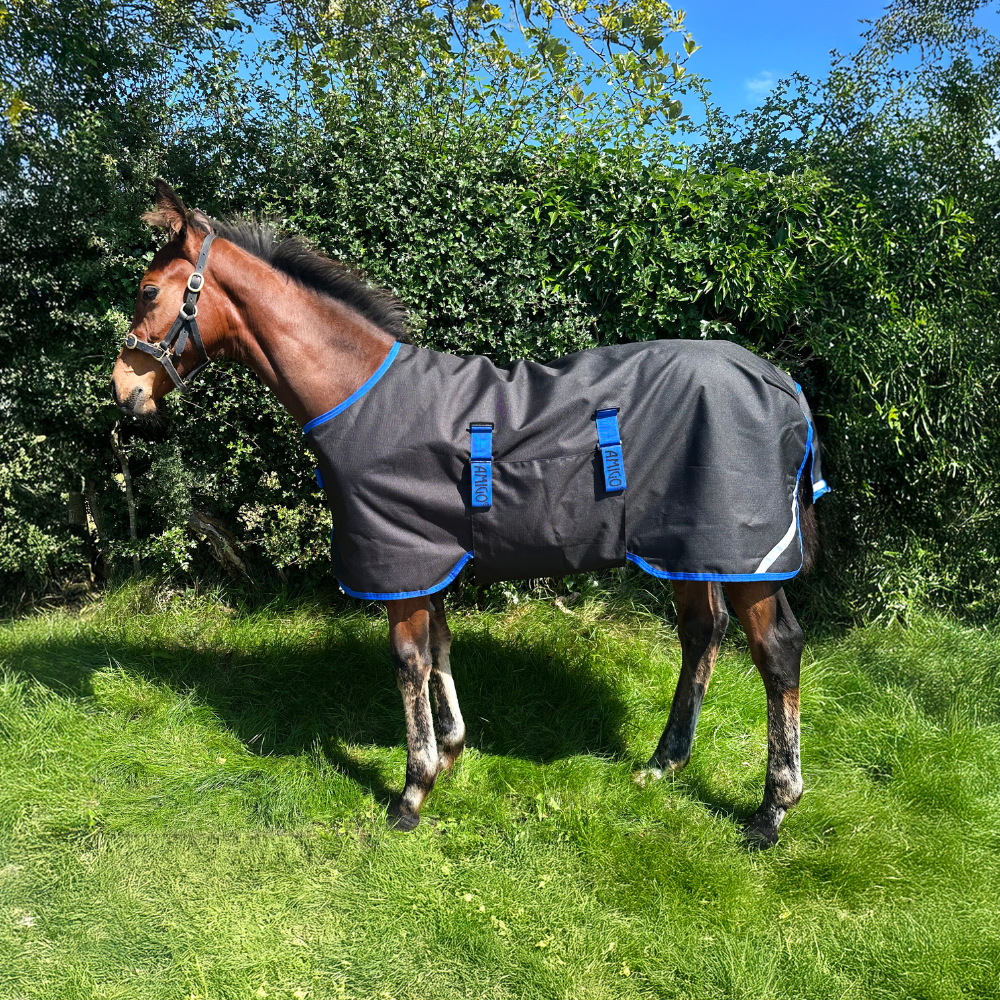 Horseware Ireland Amigo Ripstop 900D 200g Foal Turnout Rug #colour_black-classic-blue