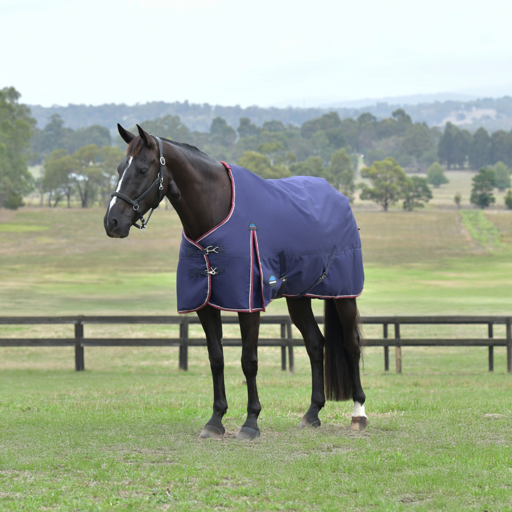 Weatherbeeta Comfitec Essential 220G Turnout #colour_navy-burgundy