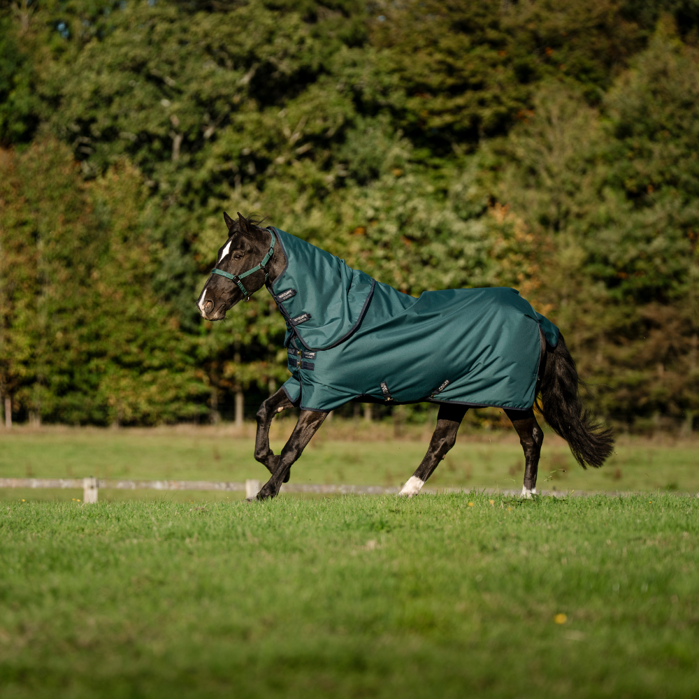 Horseware Ireland Amigo Ripstop 900 Plus 200g #colour_dynasty-green-navy-silver