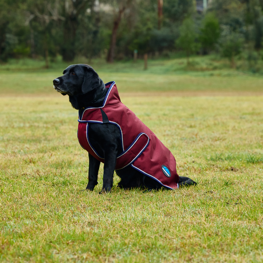 Weatherbeeta Comfitec Premier Deluxe Waterproof Dog Coat #colour_burgundy-navy