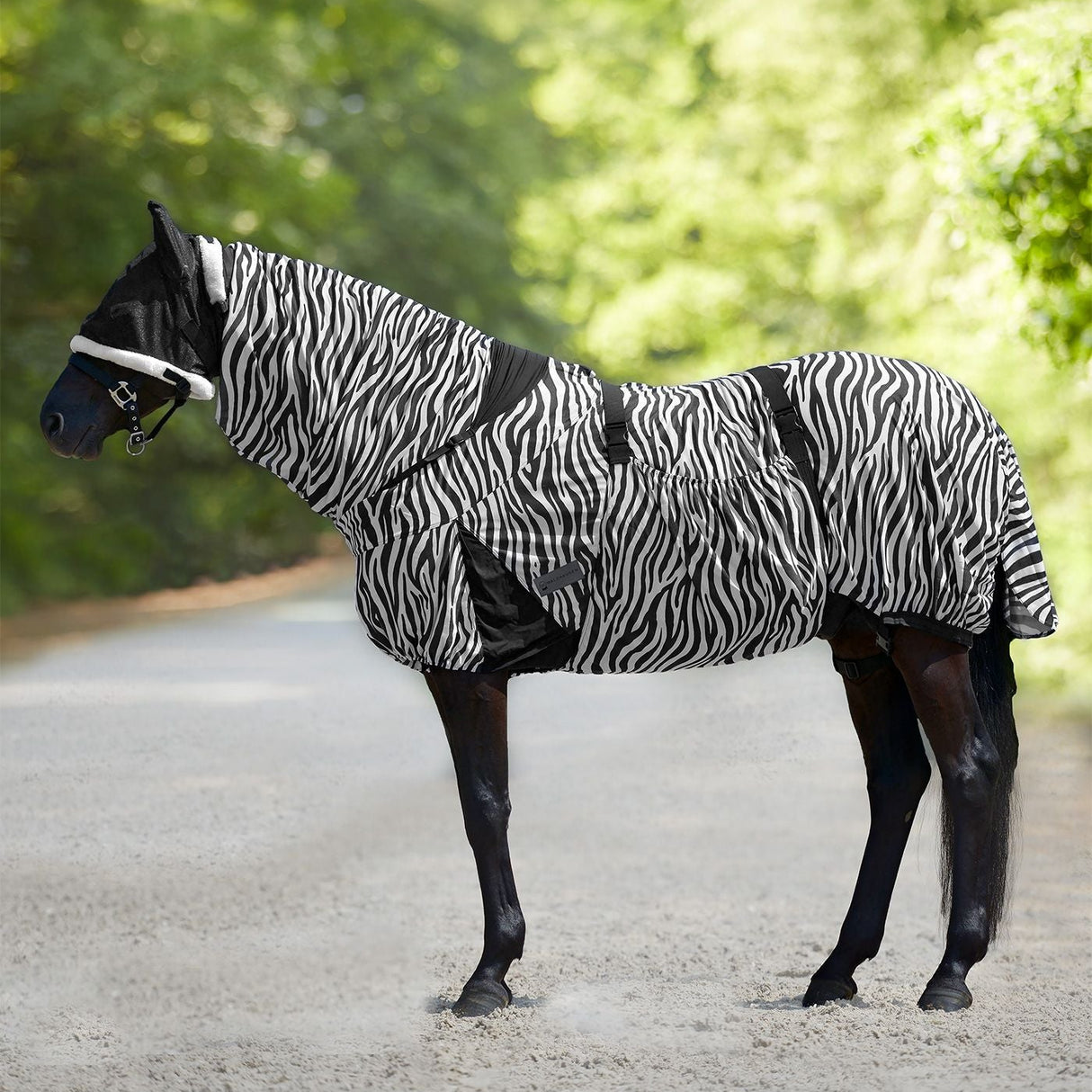 Waldhausen Zebra Eczema Rug #colour_zebra