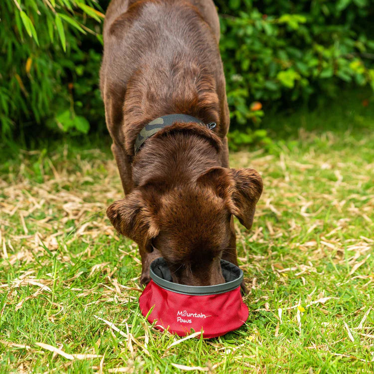 Mountain Paws Collapsible Dog Water Bowl #colour_red